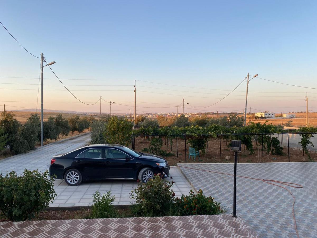 مزرعة النجم Najem Farm Villa Al-Qasr Exteriör bild