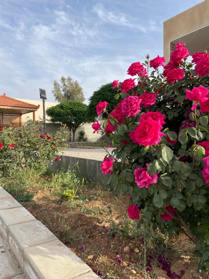 مزرعة النجم Najem Farm Villa Al-Qasr Exteriör bild