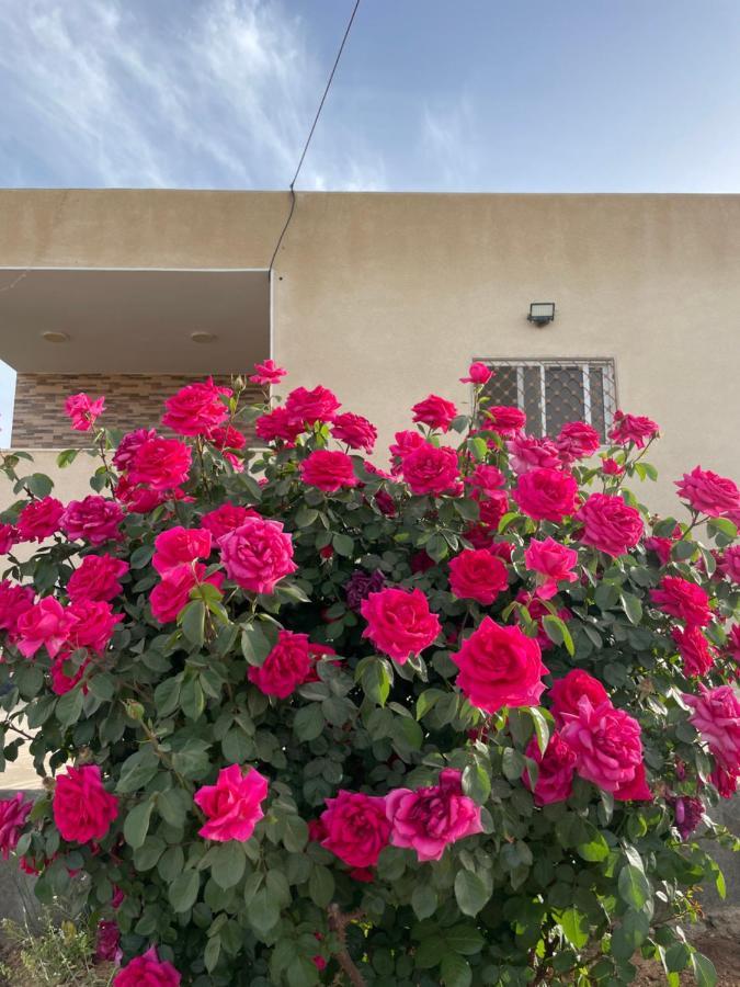 مزرعة النجم Najem Farm Villa Al-Qasr Exteriör bild