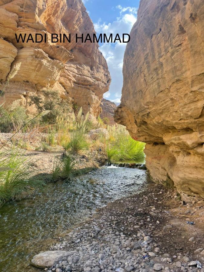 مزرعة النجم Najem Farm Villa Al-Qasr Exteriör bild