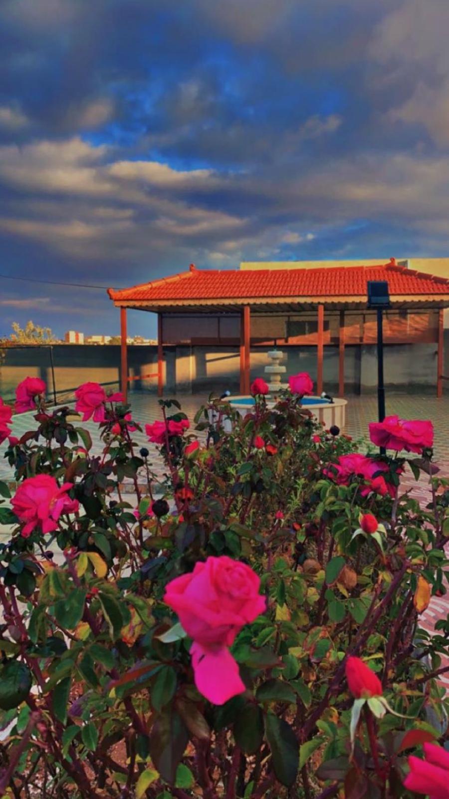 مزرعة النجم Najem Farm Villa Al-Qasr Exteriör bild